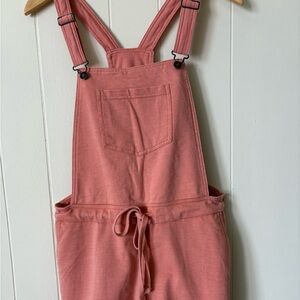 Wallflower Cotton Blend Overall Shorts Size M